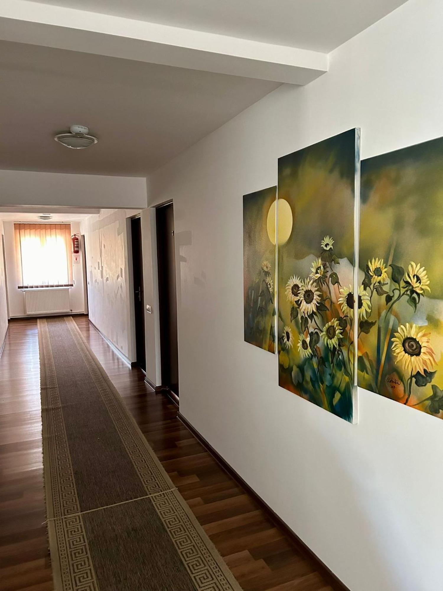 Bed and Breakfast Aranykakas Etterem Es Panzio Sîndominic Exteriér fotografie
